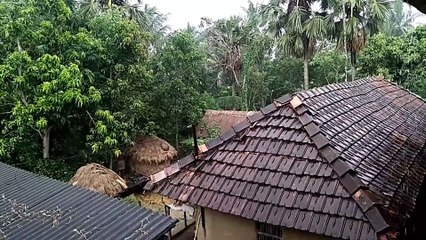 Rainfall || Indian Monsoons Rainfall | Relaxing Rainfall