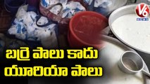 Adulterated Milk Mafia Busted In Patancheru _ V6 News
