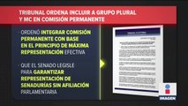 TEPJF ordena incluir a grupo plural y MC en comisión permanente