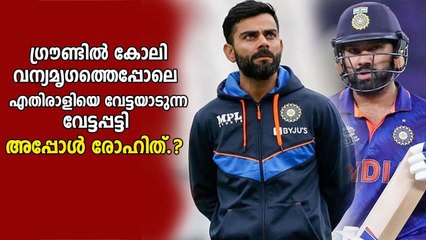 Скачать видео: Ravi Shastri compares Virat Kohli and Rohit Sharma | Oneindia Malayalam