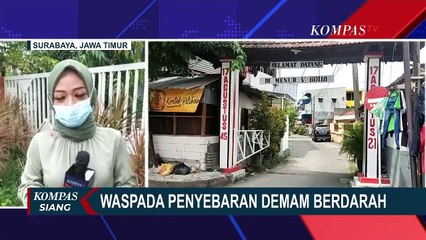 Download Video: Waspada DBD! 15 Anak di Kota Surabaya Terserang Demam Berdarah, 1 Diantaranya Meninggal Dunia