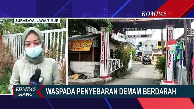 Waspada DBD! 15 Anak di Kota Surabaya Terserang Demam Berdarah, 1 Diantaranya Meninggal Dunia