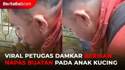 Viral Petugas Damkar Berikan Napas Buatan Pada Seekor Anak Kucing
