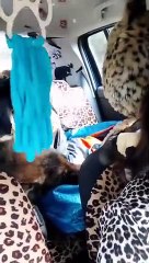 Pepa Tenorio rescata  a un perro que hacía seis años que estaba perdido