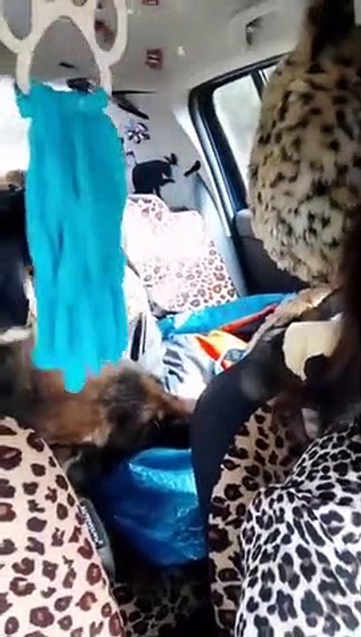 Pepa Tenorio rescata  a un perro que hacía seis años que estaba perdido