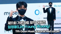 [TOP영상] ‘가온차트 뮤직 어워즈’ 임영웅, 레드카펫도 히어로처럼(220127 Lim Young Woong Red carpet)