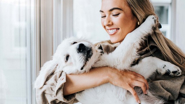 Neue Gesetze: Hundebesitzern drohen hohe Strafen