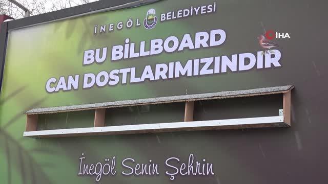 Kışın yiyecek bulamayan kuşlara ilan-ı yem - Kuşlar için bilboardlara yemlikler asıldı