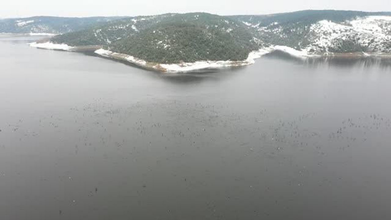 (DRONE) İstanbul'un barajlarındaki su seviyesi...