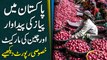 Pakistan mei piyaz ki pedawar aur cheen ki market, khasoosi report dekhiye