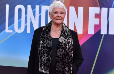 Judi Dench sofreu 'queda assustadora' e pediu ajuda a papagaio