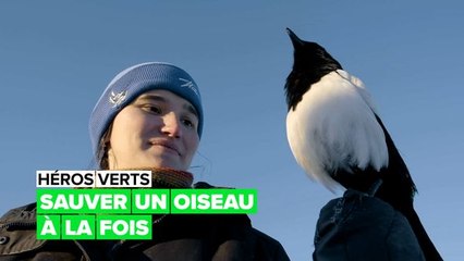 Héros verts : le sauvetage d'oiseaux