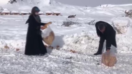 Seydişehir'de sokak hayvanları için doğaya hazır mama bırakıldı