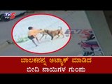 ಮನೆ ಮುಂಭಾಗ ಆಟವಾಡ್ತಿದ್ದ ಬಾಲಕನ ಮೇಲೆ ನಾಯಿ ಅಟ್ಯಾಕ್​ | Dog Attack || TV5 Kannada