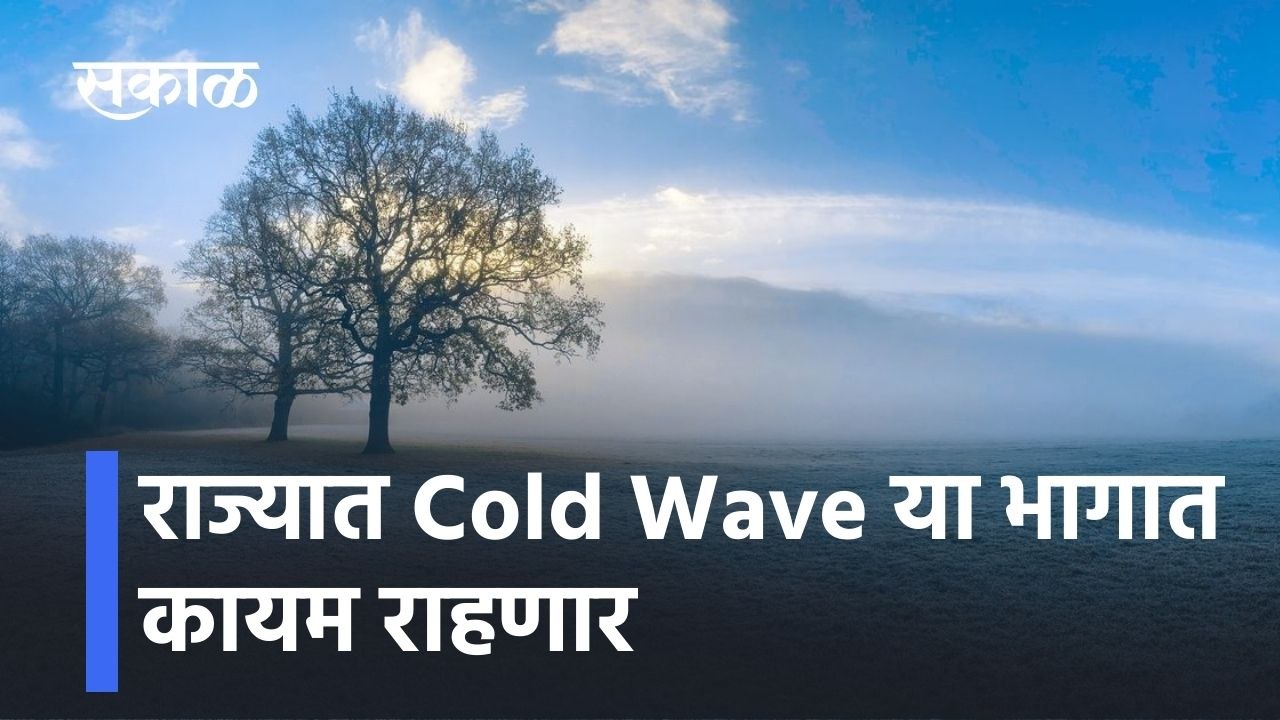 Cold Wave Alert: राज्यात Cold Wave या भागात काय...