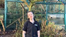 Belfast Zoo gender Reveal