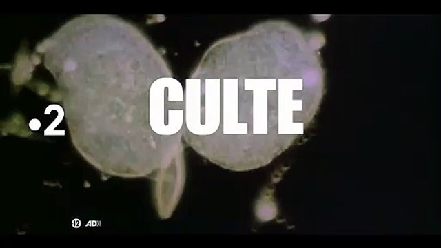 Bande annonce de l'adaptation des Particules élémentaires sur France 2