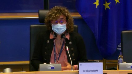 Dolors Montserrat en la comisión de Peticiones, sobre la calidad del aire de Madrid