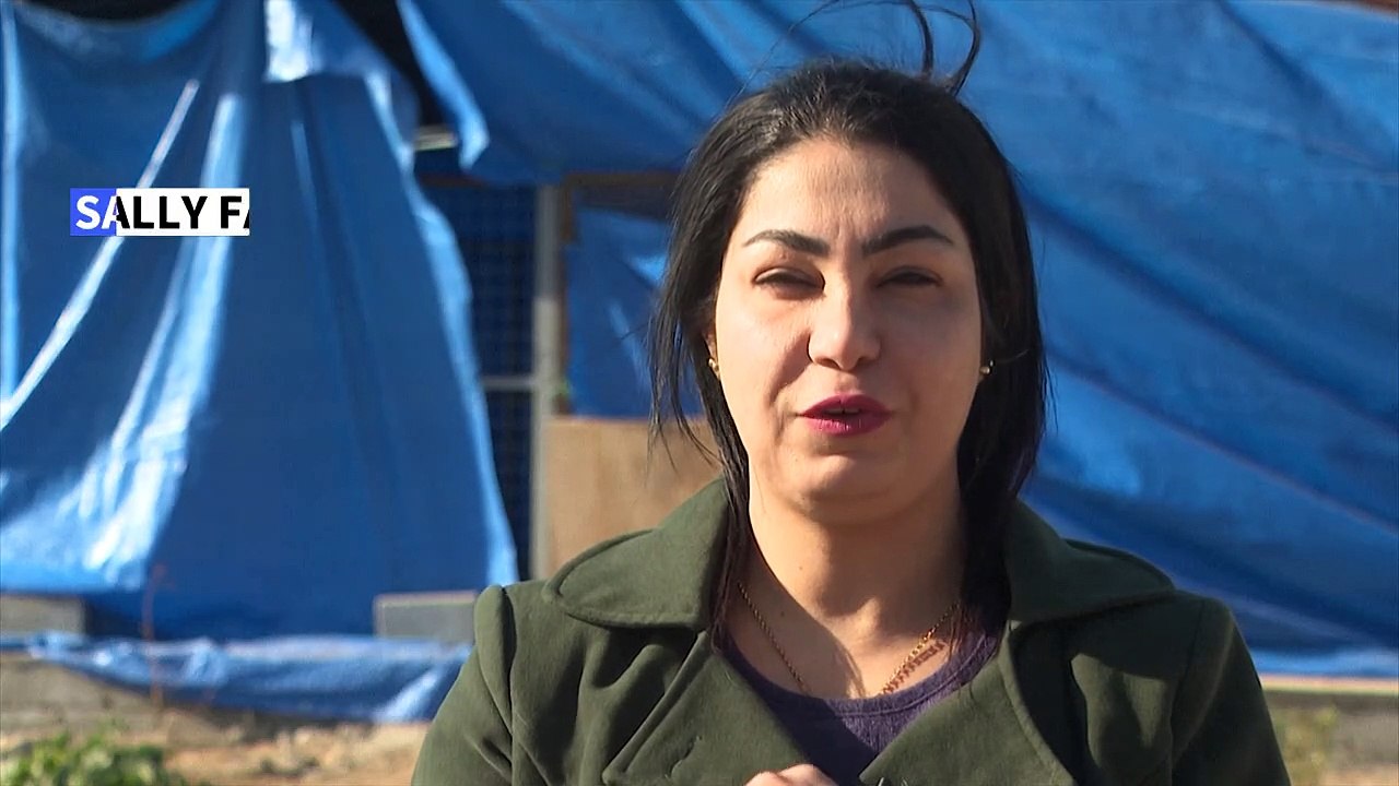 A Bagdad, un refuge pour les animaux accidentés ou maltraités