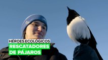 Héroes ecológicos: al rescate de los pájaros