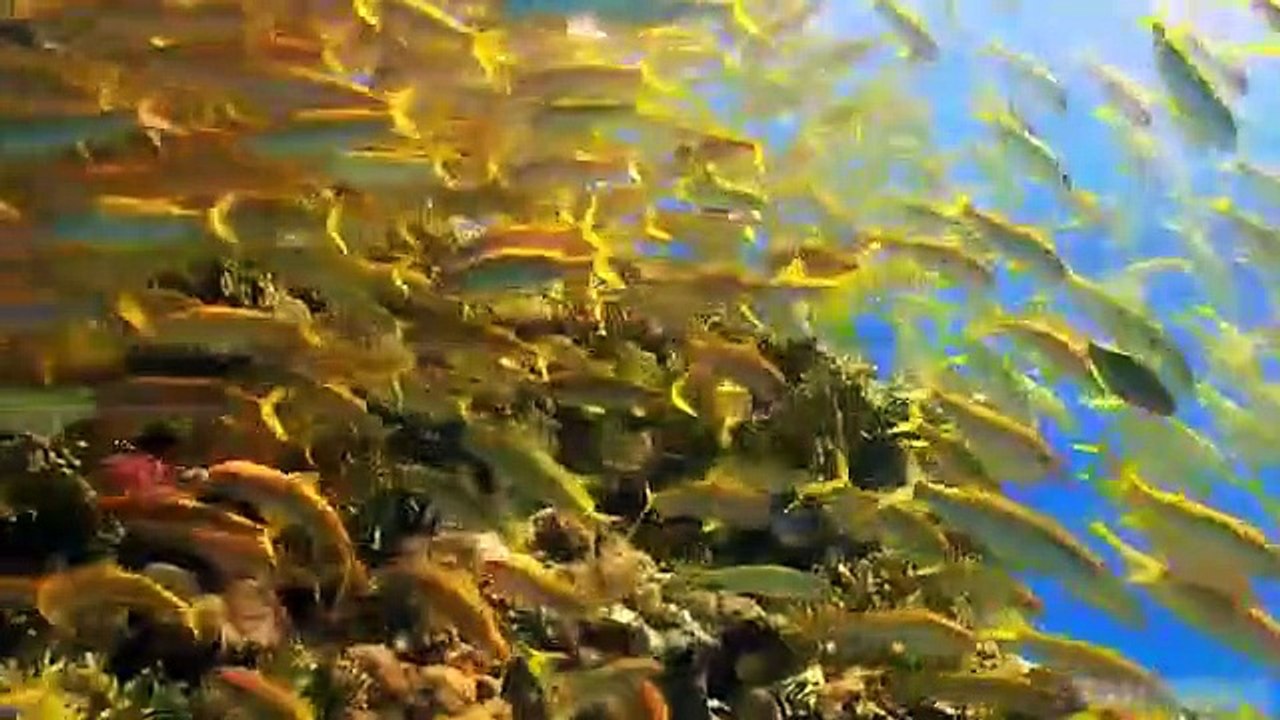 10 Best Places to Visit in Egypt - Travel Video