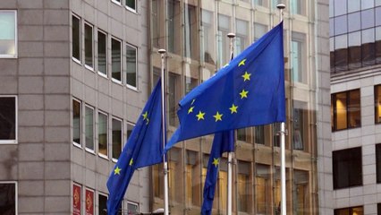 La Unión Europea denuncia a China ante la Organización Mundial del Comercio