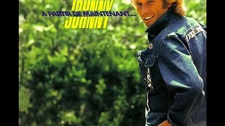 Johnny Hallyday Perdu dans le nombre 1980