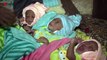 Cameroon Refugee Gives Birth to Triplets After Narrow Escape From Violence