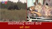 ದಾವಣಗೆರೆಯಲ್ಲಿ ಮಿತಿಮೀರಿದ ಕಾಡಾನೆಗಳ ಹಾವಳಿ | Davanagere Wild Elephant |  TV5 Kannada