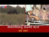 ದಾವಣಗೆರೆಯಲ್ಲಿ ಮಿತಿಮೀರಿದ ಕಾಡಾನೆಗಳ ಹಾವಳಿ | Davanagere Wild Elephant |  TV5 Kannada