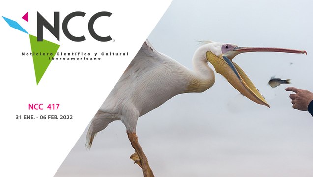 Noticiero Científico y Cultural Iberoamericano, emisión 417. 31 de enero al 06 de febrero de 2022