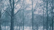 Rahatlatıcı Kar Fırtınası ve Rüzgar Sesleri - Meditasyon