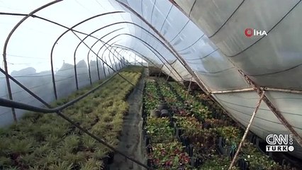 Kar yağışı seraları vurdu