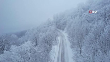 Eksi 8 derecede kitap keyfi