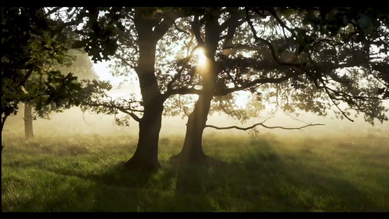 Hüzünlendiren Karadeniz Türküleri | Enstrümantel | 4K ultra HD
