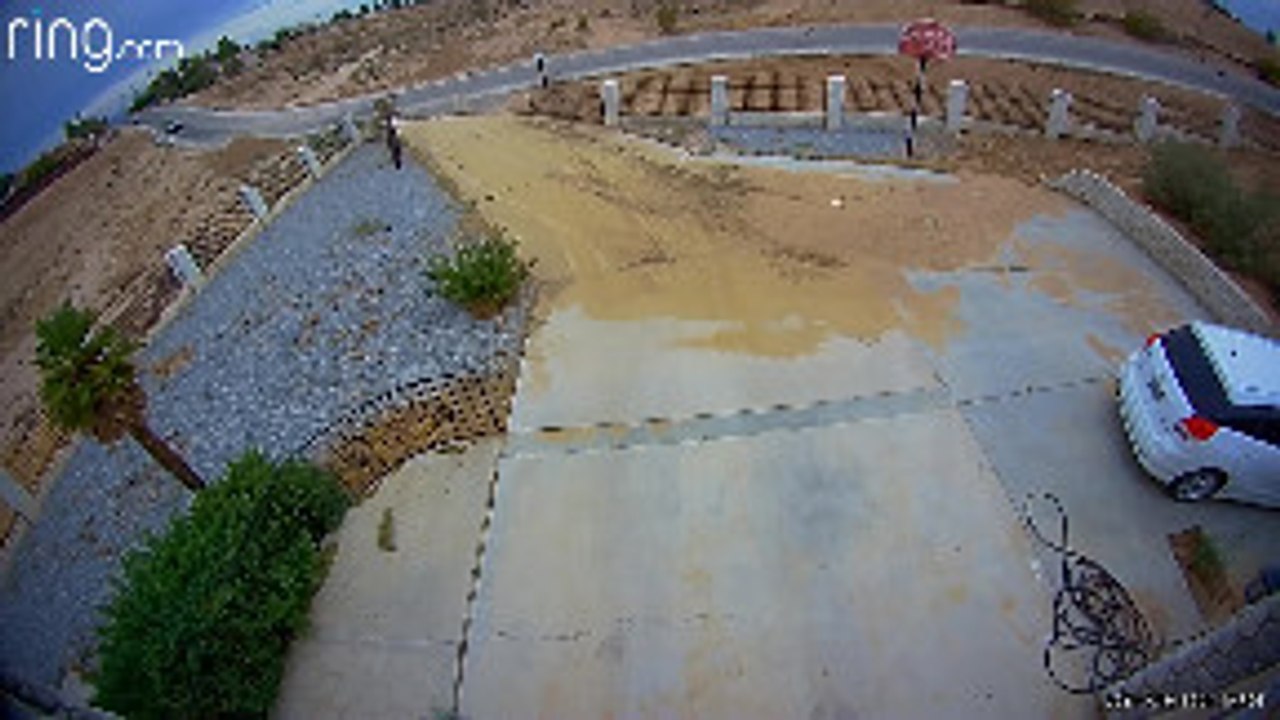 Security Cam Catches Hit-and-Run Crash Outside Home