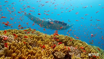 Our Planet - Official Trailer Netflix