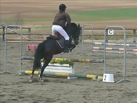 LØla et mOii O concOur interne d'Obstacles