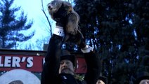 Meet the man who takes care of Punxsutawney Phil