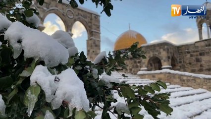 Download Video: فلسطين مدينة القدس.. الثلوج تغمر المسجد الأقصى وباحاته