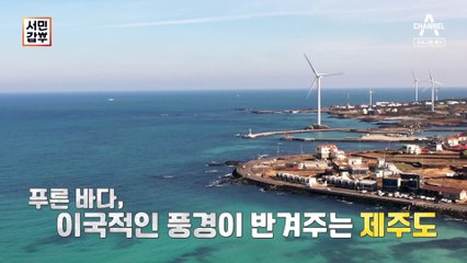 [예고] 제주 바다 통째로 담은 만두 전골 찐맛집(◕﹃ ◕)