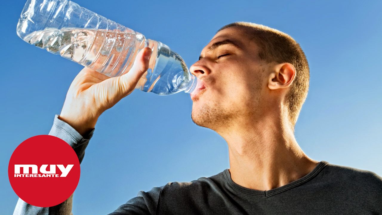 Así es como nuestros cerebros saben la cantidad de agua que necesitamos cuando tenemos sed