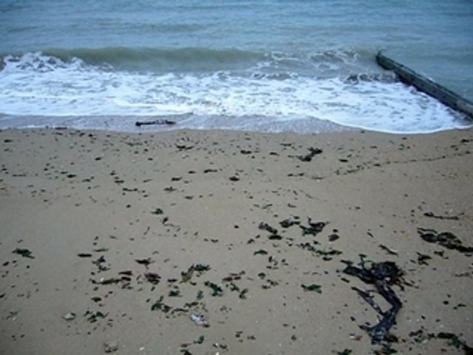 La mer