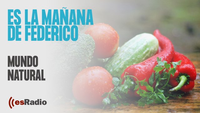 Mundo Natural: Los cambios de tiempo para la salud