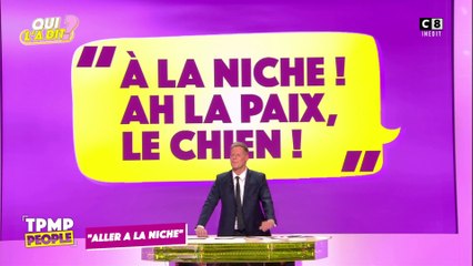 "A la niche ! " : retour sur le débat houleux entre Jean-Luc Mélenchon et Eric Zemmour