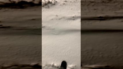 Frigid Weather Freezes Gas Pump