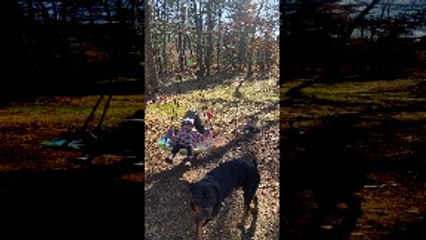 Big Brother Spills Sister from Swing