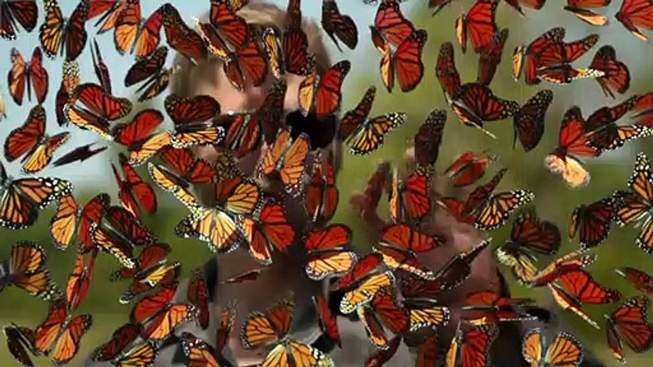 Under the Dome Saison 0 - Special Effects (EN)