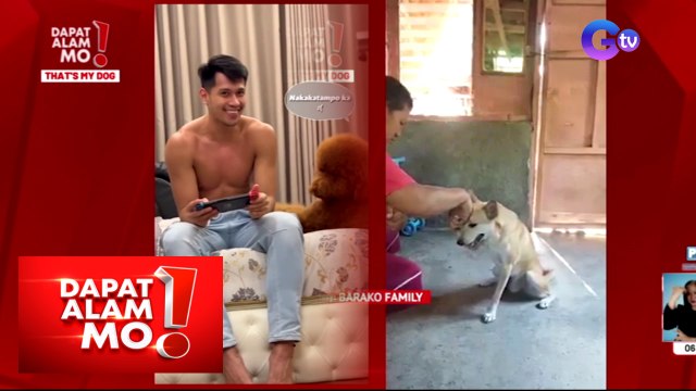 Dapat Alam Mo!: Mga pet na may kakaibang hobbies, alamin!