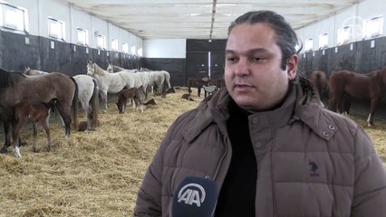 Eskişehir'de şampiyon adayı taylar karla ilk kez karşılaştı